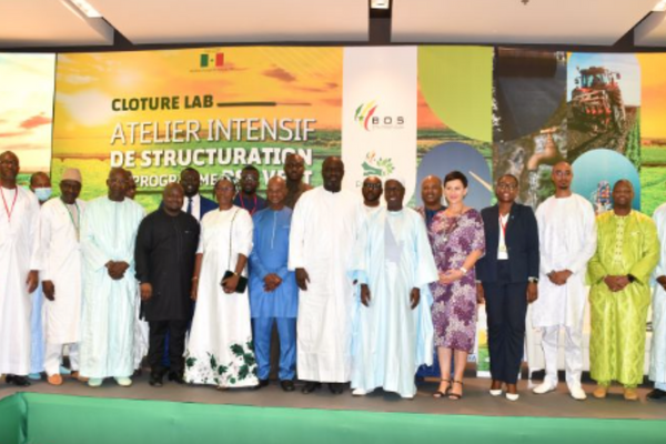 Reports resulting from the work of the Intensive PES Program structuring workshop