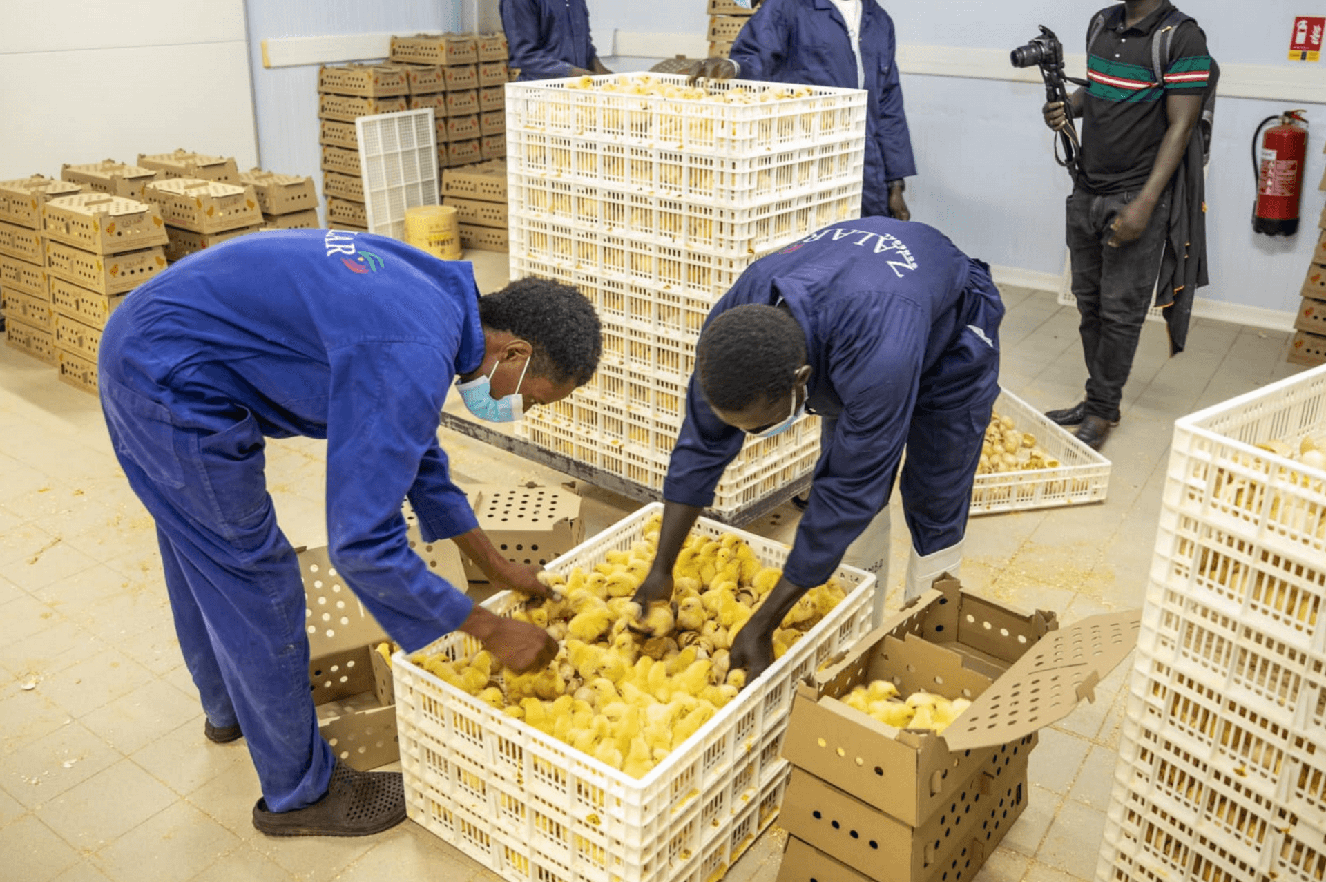 Special economic zones and investor packages