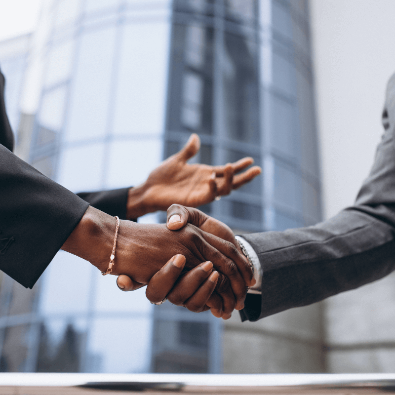 Optimization of companies and state participations